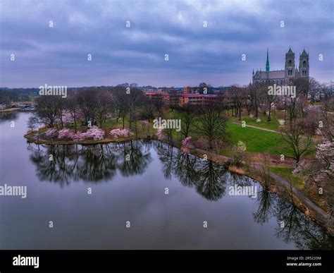 branch brook park webcam|Newark’s Branch Brook Park Has More Than Any Other